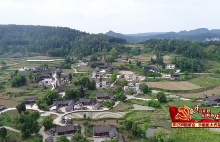 貴州貴陽：上半年農(nóng)業(yè)農(nóng)村經(jīng)濟(jì)實現(xiàn)高速增長