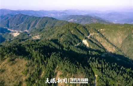 貴州：森林生態(tài)系統(tǒng)固碳量達(dá)每年3023.79萬噸