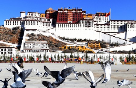 西藏和平解放70周年：建設(shè)美麗幸福西藏 各族人民幸福感越來越強