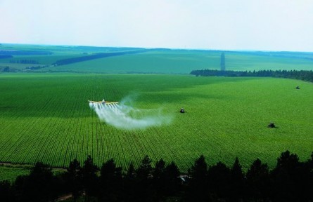 黑龍江試點(diǎn)三大糧食作物完全成本保險(xiǎn)