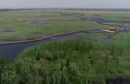 雄安新區(qū)和白洋淀生態(tài)保護(hù)高質(zhì)量推進(jìn)