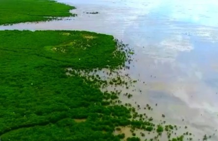 生態(tài)環(huán)境部：全國海洋生態(tài)環(huán)境總體改善