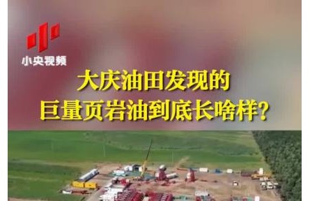 大慶油田發(fā)現(xiàn)的巨量頁巖油到底長啥樣？