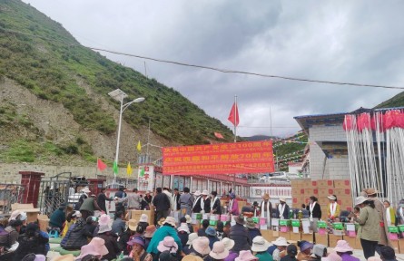 西藏林芝朗縣：金秋時(shí)節(jié)分紅忙