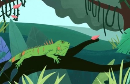 海關(guān)科普微動(dòng)漫:外來(lái)物種請(qǐng)走開(kāi)?