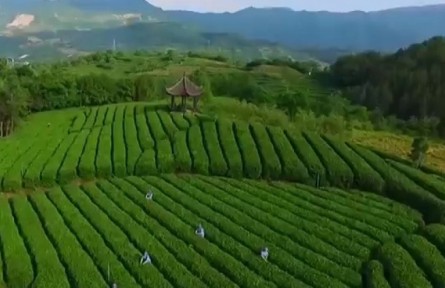 安徽：金融“活水” 助力產(chǎn)業(yè)茁壯成長