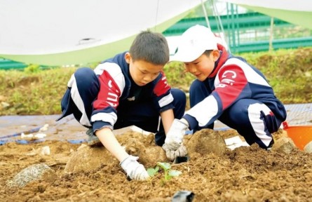 稻麥不分、牛羊不辨 勞動意識不容有“缺”