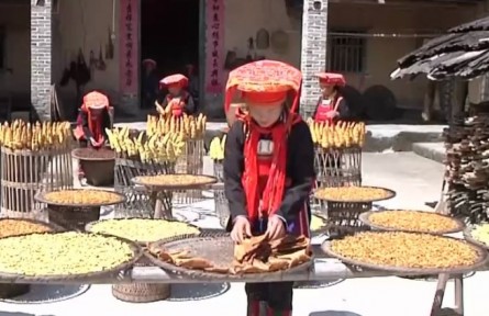 廣西桂平：竹筍上市供不應求 特色產業(yè)助農增收