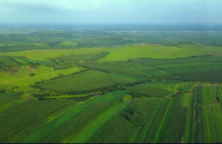 我國重要的糧食產(chǎn)地，奮斗50年才有的北大倉，為何退耕還荒不種了