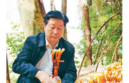 《山海情》蘑菇專家原型、“最美教師”林占熺：心心念念的，永遠是菌草