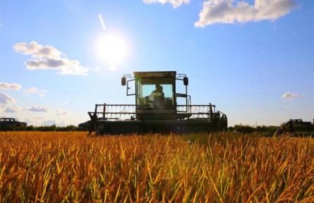 北大荒集團(tuán)各農(nóng)（牧）場做好“四個到位”高質(zhì)量備戰(zhàn)秋收