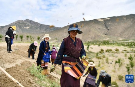 這條劃在版圖上的紅線，守護(hù)著美麗中國(guó)