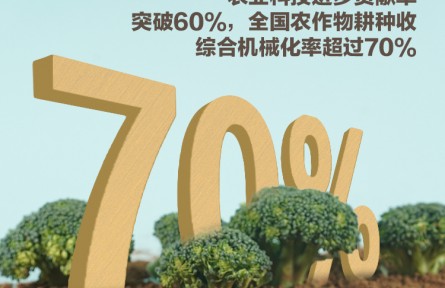 中國產(chǎn)糧能力有多強？這些數(shù)據(jù)告訴你答案