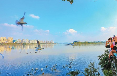 四川：“鳥口普查”怎么查？