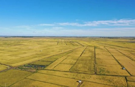 黑龍江：北國大糧倉的矚目成就