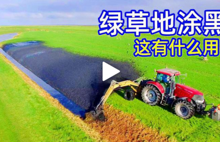 不可思議的挖泥機(jī)，為什么荷蘭人要把草地“涂黑”