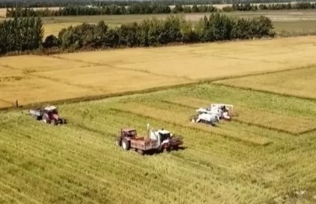 黑龍江不斷提升科技水平 推動農(nóng)業(yè)現(xiàn)代化發(fā)展