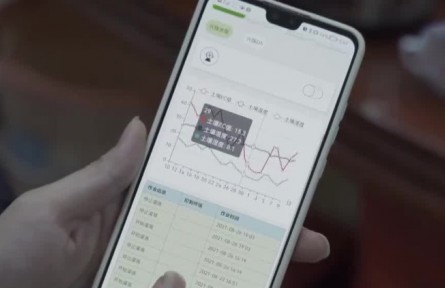 豐收中國·廣東梅州：大數(shù)據(jù)賦能柚子產(chǎn)業(yè)