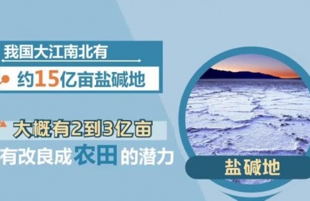 豐收小課堂：我國有2億多畝鹽堿地有改良成農(nóng)田的潛力