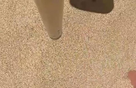 世界糧食日：科技儲糧 筑牢糧食安全壓艙石