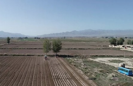 甘肅金昌永昌縣：降解地膜幫大忙 白色污染悄無蹤