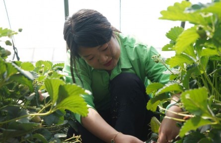 綠色農(nóng)業(yè)追夢(mèng)人張?chǎng)危簞?chuàng)新驅(qū)動(dòng) 逐夢(mèng)田野