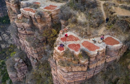 第十屆全國農民攝影大展作品：懸崖曬秋