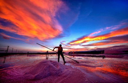 第十屆全國農民攝影大展作品：繁忙的鹽場