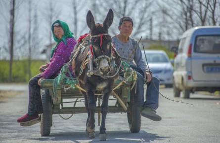 第十屆全國農民攝影大展作品：變遷