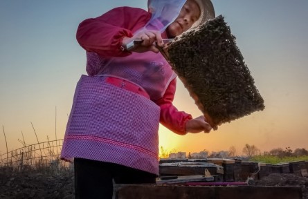 第十屆全國農民攝影大展作品：甜蜜的事業(yè)