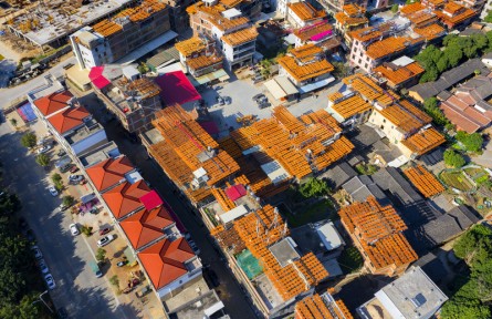 第十屆全國農民攝影大展作品：柿餅飄香致富路