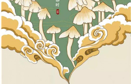 食用菌“拍照識(shí)菌全”應(yīng)用軟件“菌窩子”上線運(yùn)行