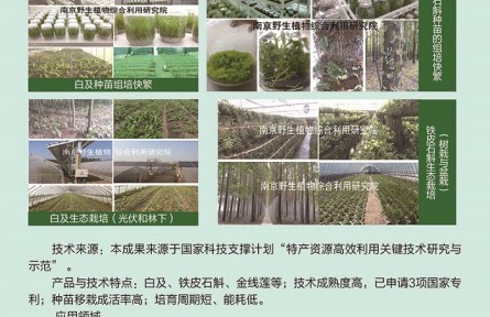 功能性植物種苗工廠化組培快繁、生態(tài)立體種植及高值產品開發(fā)