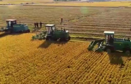 【“十三五”成就巡禮】農(nóng)民收入持續(xù)較快增長(zhǎng)