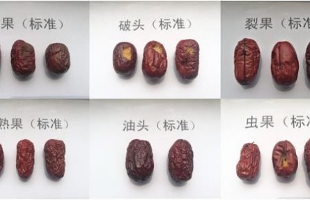 93、成果名稱:紅棗質(zhì)量檢驗(yàn)分級與標(biāo)準(zhǔn)化技術(shù)服務(wù)