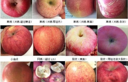 92、成果名稱：蘋果商貿(mào)流通質(zhì)量分級檢驗(yàn)與標(biāo)準(zhǔn)化控制