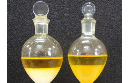 91、成果名稱：枸杞及其加工產(chǎn)品中類胡蘿卜素快速提取檢測技術(shù)