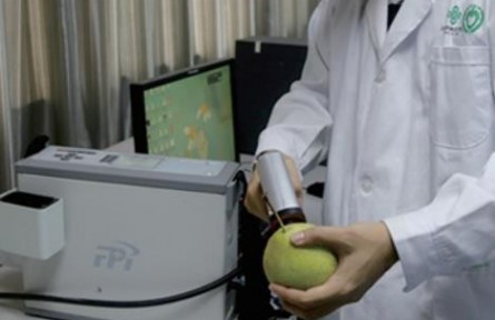 88、成果名稱：水果內(nèi)在品質(zhì)實(shí)時、無損分析技術(shù)