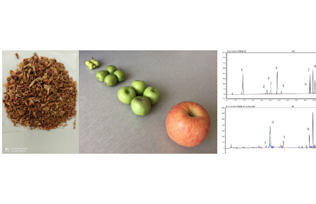 78、成果名稱：蘋果疏果多酚制備技術(shù)