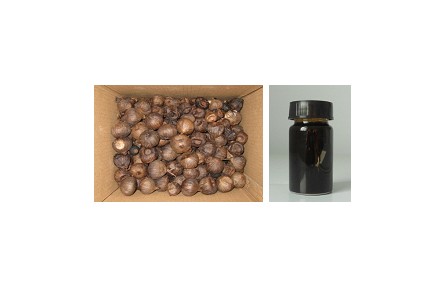 79、成果名稱：黑蒜汁及副產(chǎn)物綜合利用技術(shù)