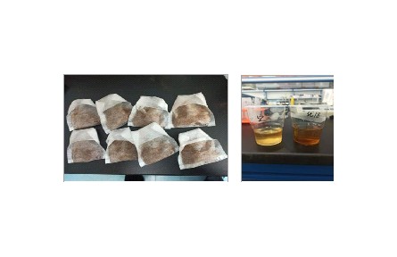 62、成果名稱：靈芝子實(shí)體汽爆超微速溶茶加工技術(shù)