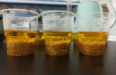 ?53、成果名稱：牡丹花蕊汽爆速溶茶加工技術(shù)