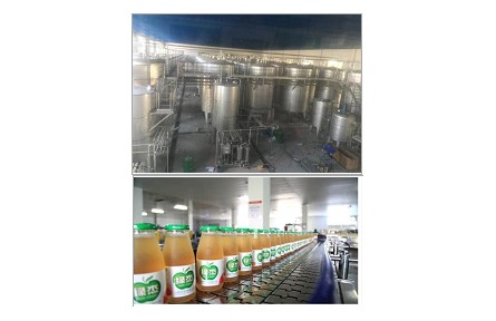 39、成果名稱：蘋果醋綠色釀造關(guān)鍵技術(shù)