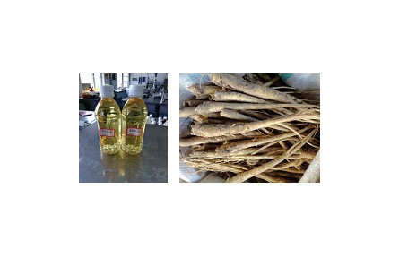 38、成果名稱：澄清型桔梗汁加工關(guān)鍵技術(shù)