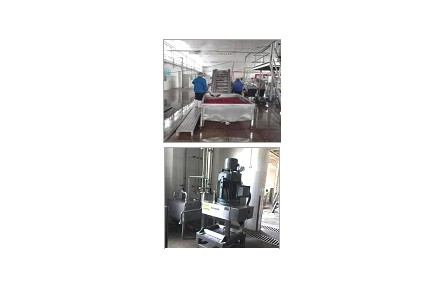 33、成果名稱：超細(xì)高濃紅棗漿加工關(guān)鍵技術(shù)