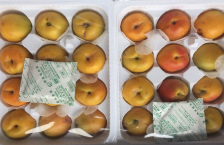 10、成果名稱：杏電商流通保鮮技術(shù)