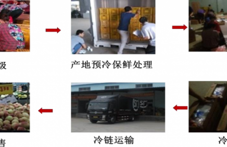 4、成果名稱：桃采后冷鏈流通保鮮技術(shù)