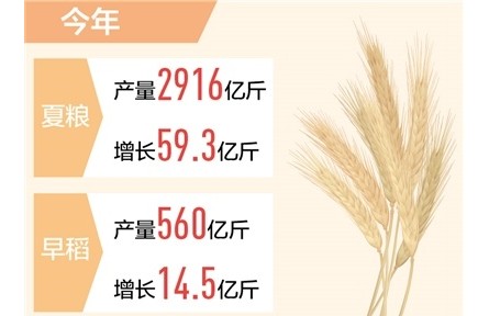 全國秋收進度已超八成 糧食生產將迎十八連豐