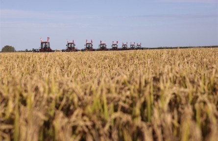 黑龍江：農(nóng)業(yè)發(fā)展的背后，是十足科技范兒