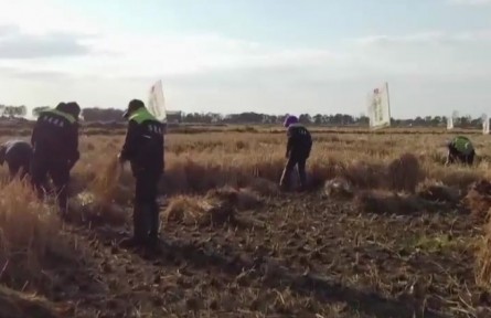 黑龍江：好糧，源于標(biāo)準(zhǔn)